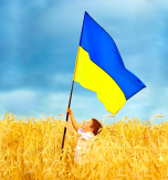 乌克兰国旗的起源及其现在的用法